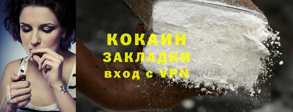 соль ск Арсеньев