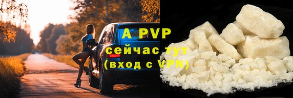 соль ск Арсеньев