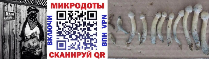 Галлюциногенные грибы Psilocybe  Шарыпово 
